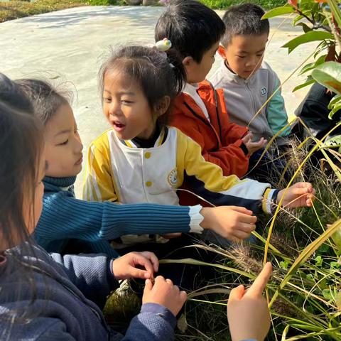 新城幼儿园大二班秋游喽——“芦”约而至