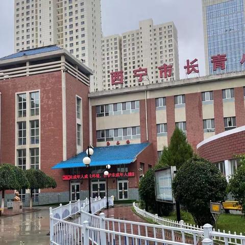 长青藤，勇攀升——西宁市长青小学第十一周工作小记