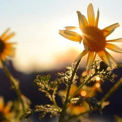 博观而约取，厚积而薄发📖