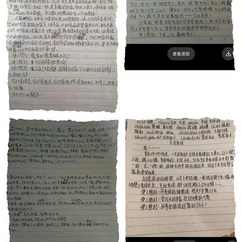 方寸共赏风华意，人间朝气正丛生——八语作业设计及展示