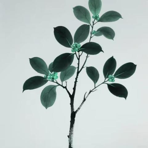陪你读诗100首《玉树》