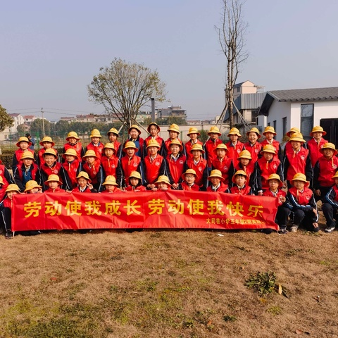 劳动促成长，实践出真知——记大司巷小学五（2）班青鸟中队劳动实践活动