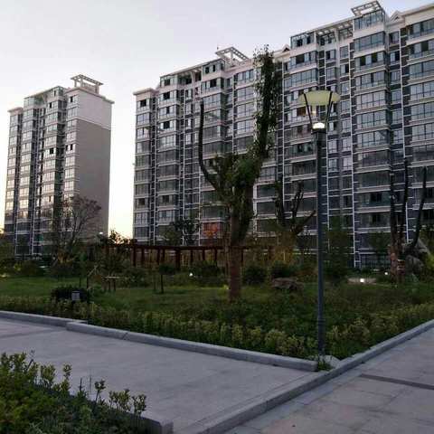 最美丽的礼物是陪伴 ——给交附，上外，兰生学子最好的福利