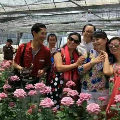 2016年5月1日羊街玫瑰花园（美篇转移）