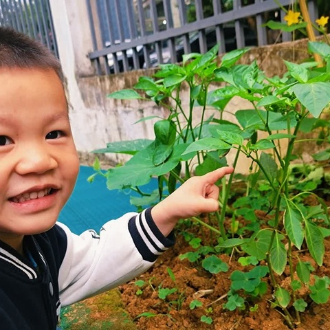 致萌芽一班余奕鑫家长