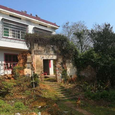 江南四月之行走冯家门