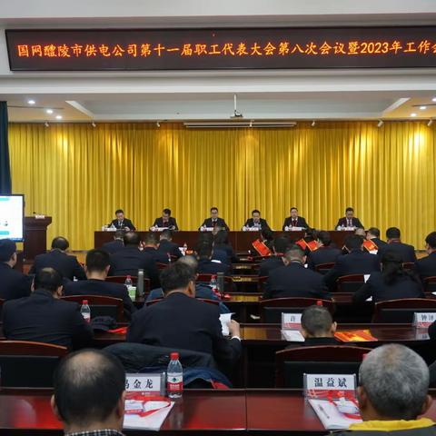 国网醴陵市供电公司召开十一届八次职工代表大会