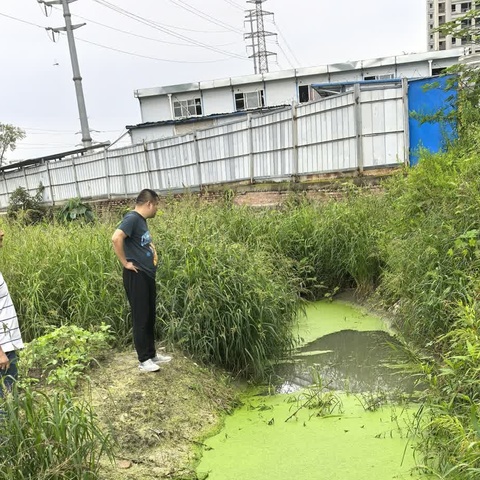 公平街办城乡环境综合治理纪实