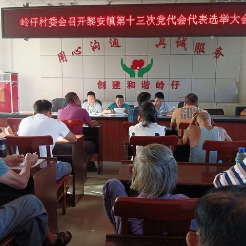岭仔村党总支部召开*中国共产党黎安镇第十三次党代会*代表选举大会