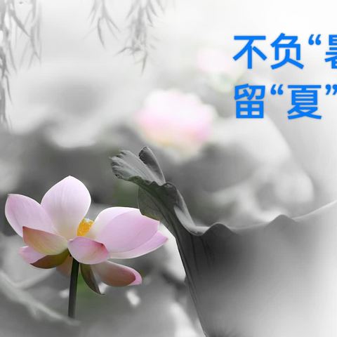 不负“暑”光     留“夏”美好 ———暑期名著阅读 耿迎春 王铭