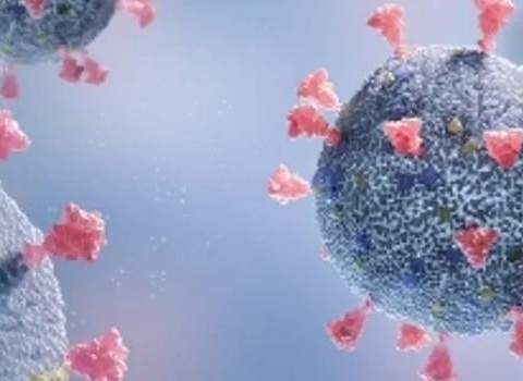 预防新冠病毒，守护幼儿健康！——河南大学幼儿园金明园区防疫宣传