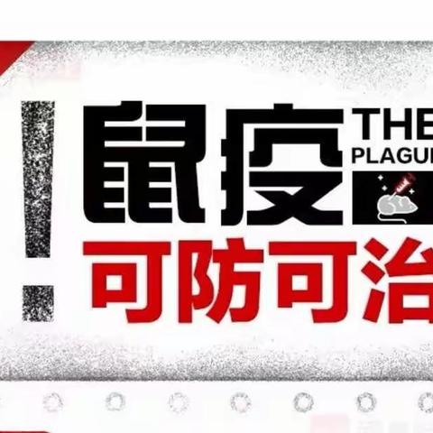 临河区干召庙镇卫生院就鼠疫、高炭疽规划化、同质化诊疗水平培训