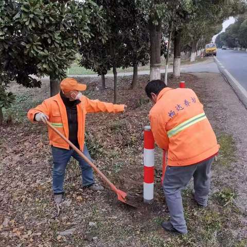 迎春贵在勤  一路满橘红