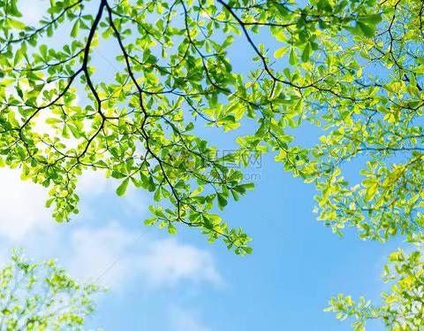 同课异构展风采，异彩纷呈显匠心——建瓯职业中专学校“同课异构”市级观摩课取得圆满成功