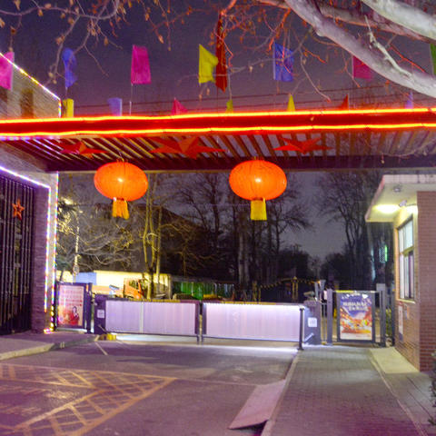 大红灯笼高高挂，浓浓年味赴面来