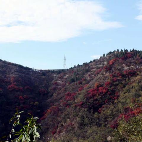 禹王山一日游