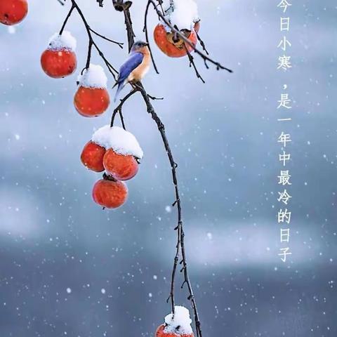 一岁最寒时  惟愿吾安暖