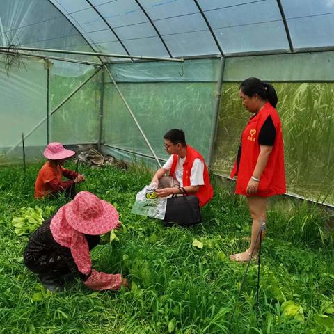我县开展“两节”期间农产品质量安全专项行动