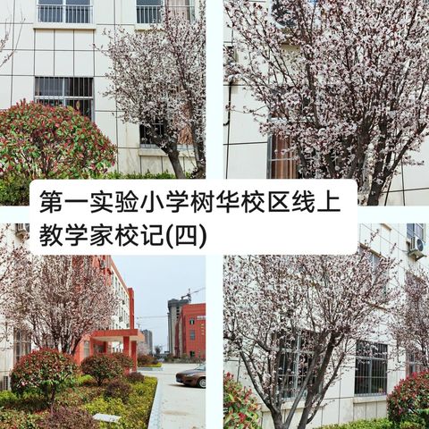 感恩遇见，感谢有你——郯城实验一小树华校区“停课不停学”家校记系列（四）