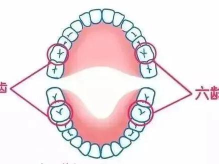 口腔保健/临洮县妇幼保健院口腔防护活动开始啦！