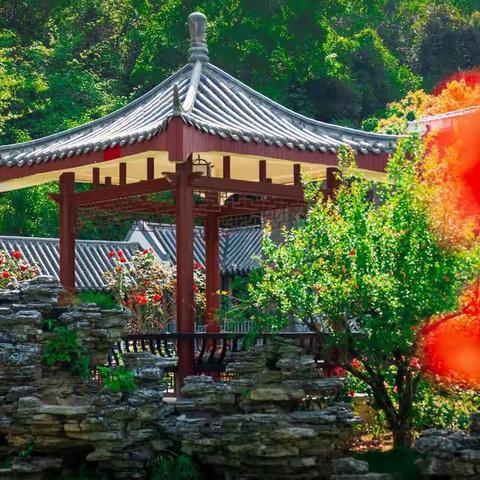龙华赏花指南 | 赴一场春天的约会