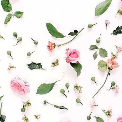 梦想，是不过时的美丽!————比教学语记