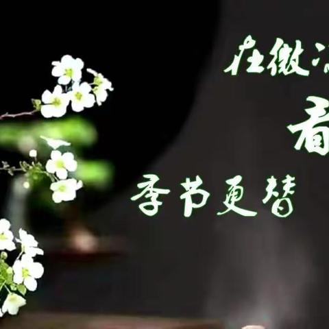 在微凉里看季节更替