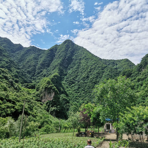 塔庙村两委会“我为群众办实事”。       助力泥峪河自然村土蜂蜜销售