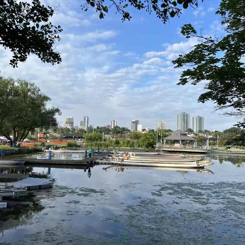 2023凤舞龙舟之Alkame Dragon Boat Service—— 小格