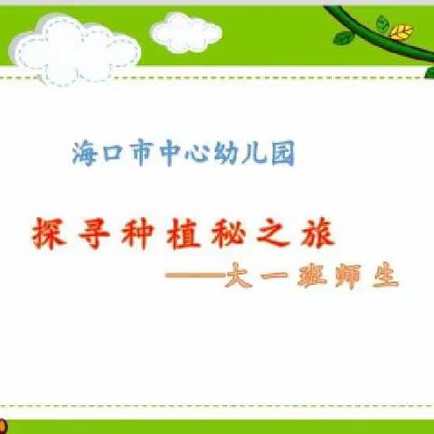 探寻种植秘之旅——海口市中心幼儿园大一班师生