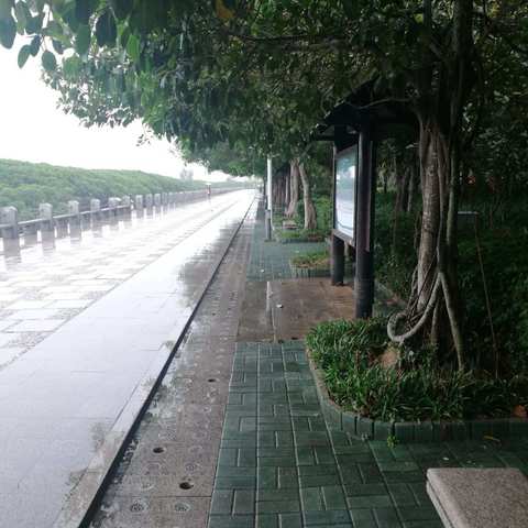 深圳春夜随感