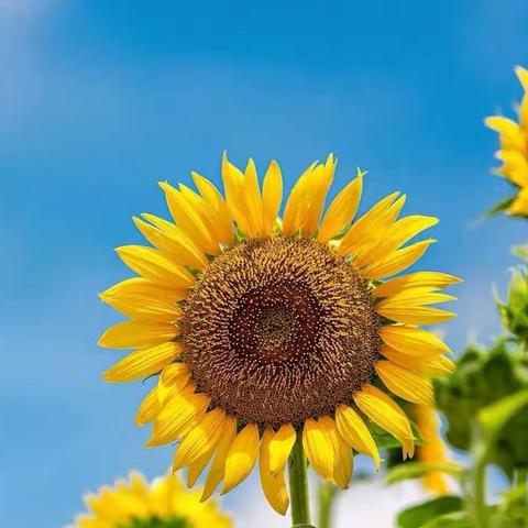 家校合力，共促成长！