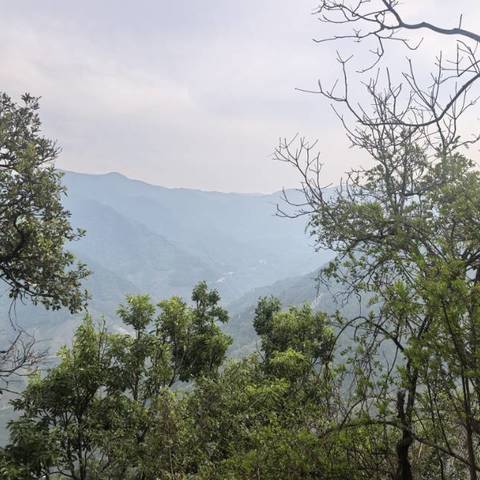 “迎春踏青 缅怀先烈”——戛洒镇纸厂小学2025年春游踏青活动简记