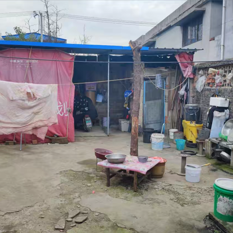 公益活动任重而道远———百元公益2024年第11期活动考察
