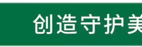 宣城中环洁城市环境服务有限公司工作日报2024.11.10