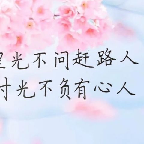 以“培”助长，蓄力前行——湖滨新区2022年幼儿教师暑期全员培训活动