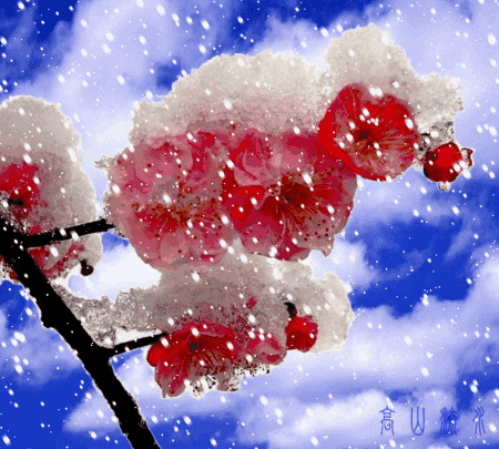 徐大堡小学2020-2021第一学期期末考试掠影