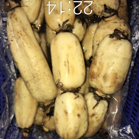 索尼餐厅食材实况（总部配菜中心）