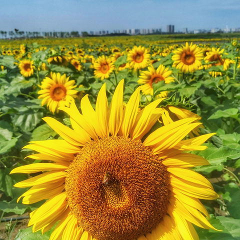 坦然接受 笑对挫折