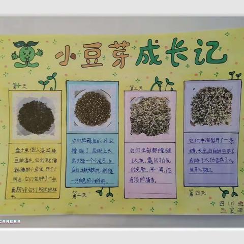 观察日记——咸阳市高新一中四年级语文实践作业