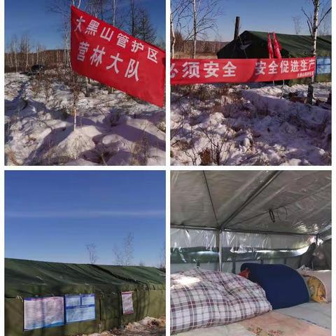 守初心   促普惠民生            战风雪   建生态加林