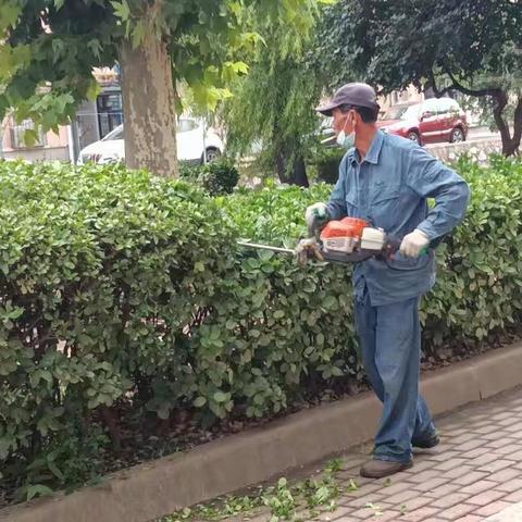 环境百日会战—绿化篇