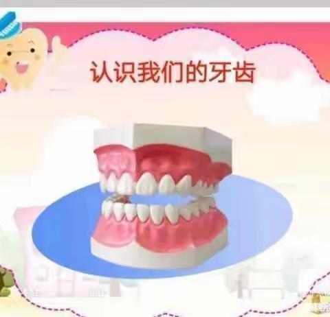 葛岩嵛小学爱牙日活动