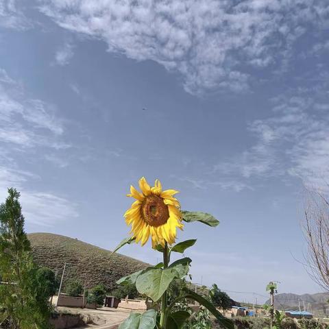 幸福里幼儿园火老师的美篇