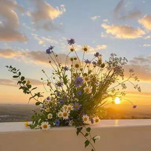 “挑一句，治愈系早安文案，温柔且高级！”