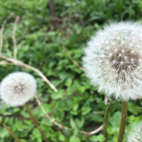 “预”你一起，“备”想未来