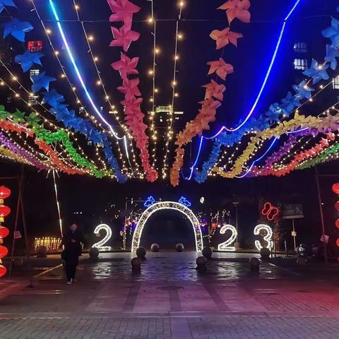 百步亭花园社区康和元宵花灯