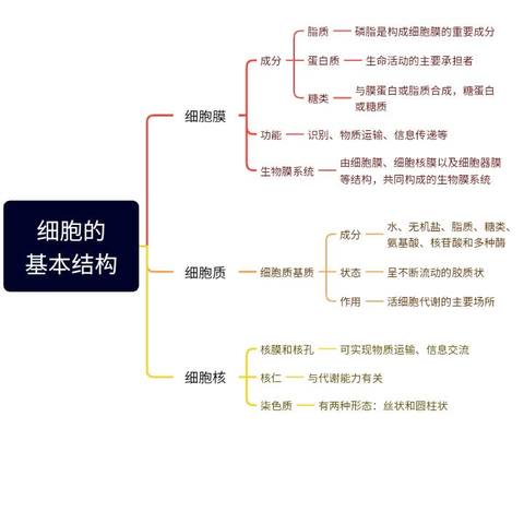 做一个学科的思维导图