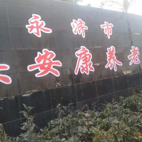 逸夫中学2207班寒假社会实践活动