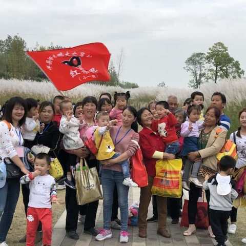 芦苇荡漾、亲子感秋——鹏大之星马畅幼儿园秋游活动